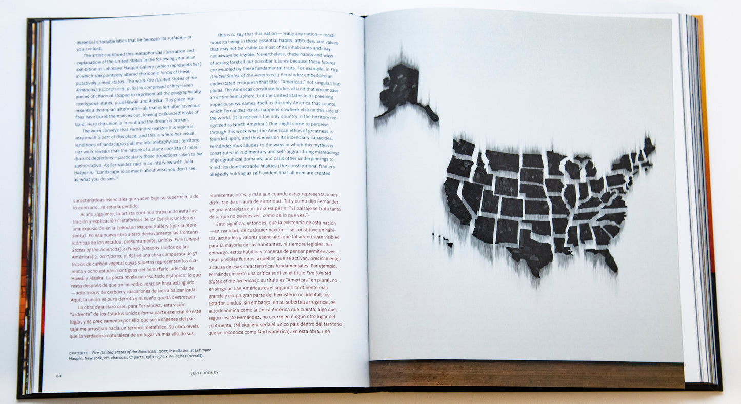 Teresita Fernández: Elemental