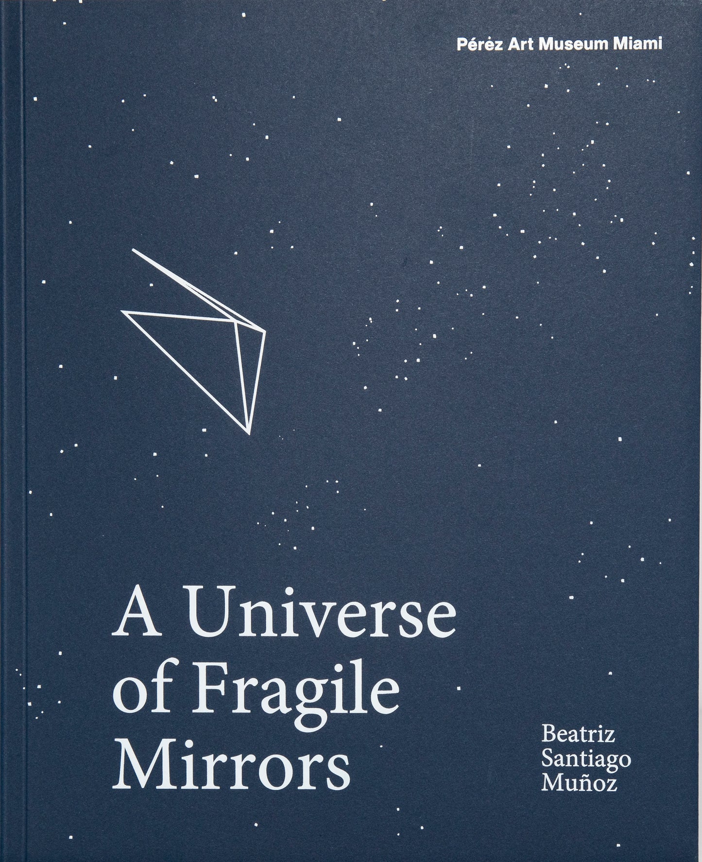Beatriz Santiago Muñoz: A Universe of Fragile Mirrors