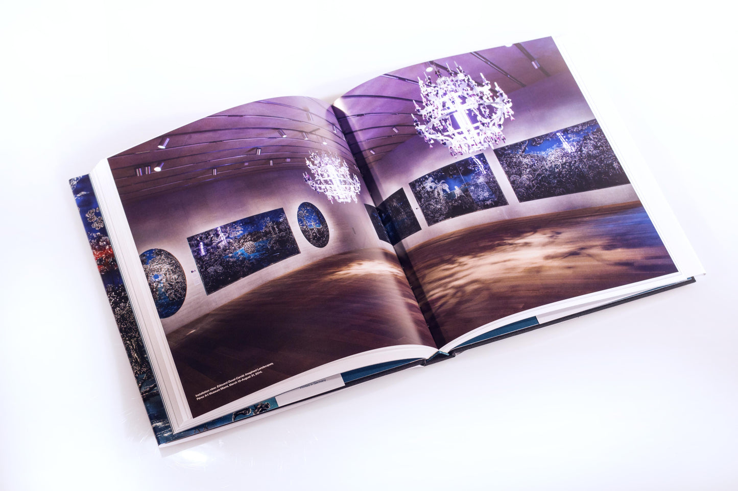 From Revolution in the Tropics to Imagined Landscapes: the Art of Edouard Duval-Carrié