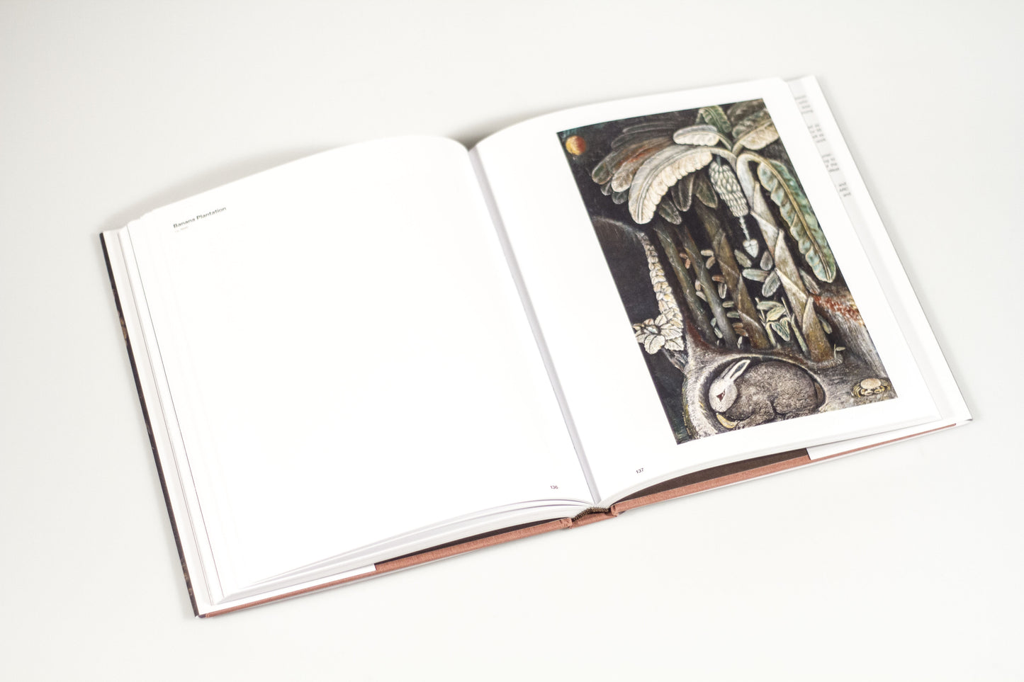 John Dunkley : Neither Day nor Night