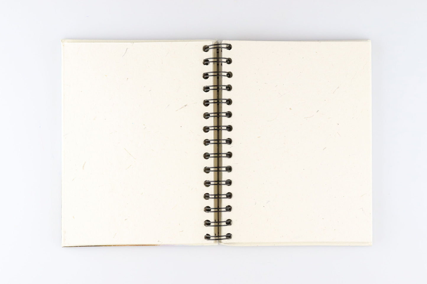 Mr. Ellie Pooh Notebook: Large