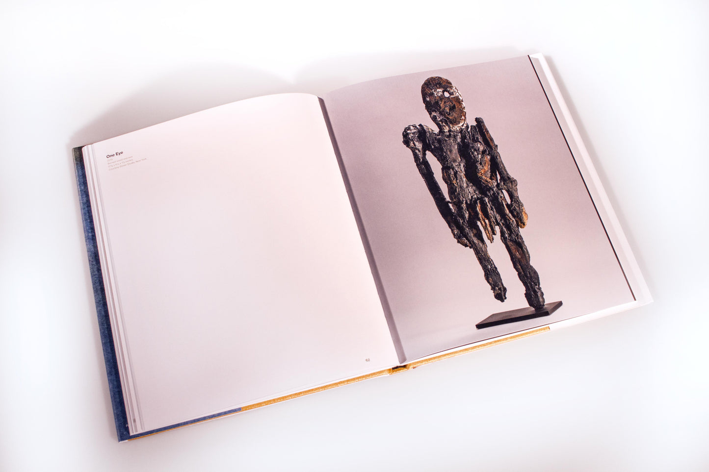 Michele Oka Doner: How I Caught a Swallow in Midair