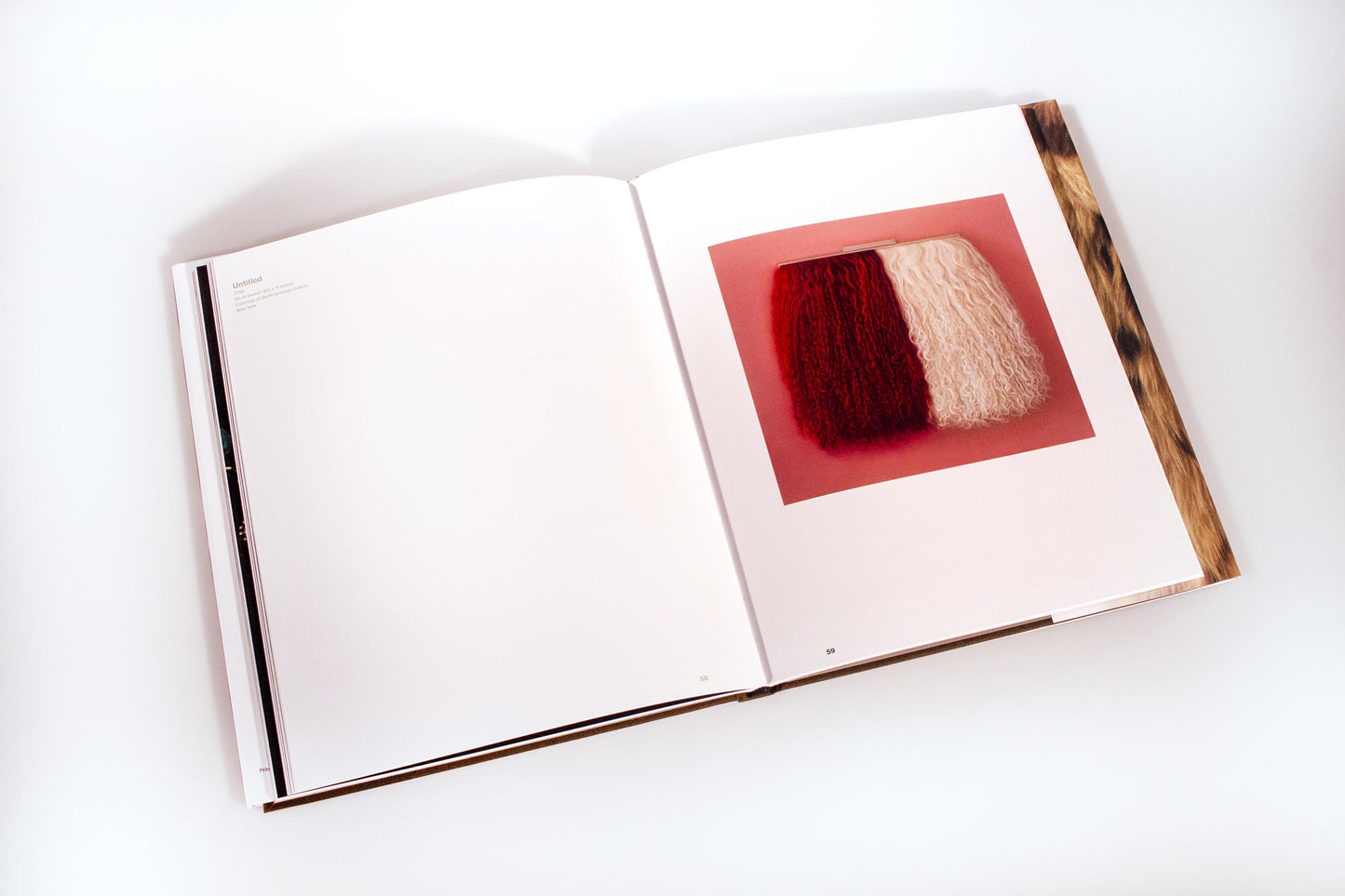 Victoria Gitman: Desiring Eye