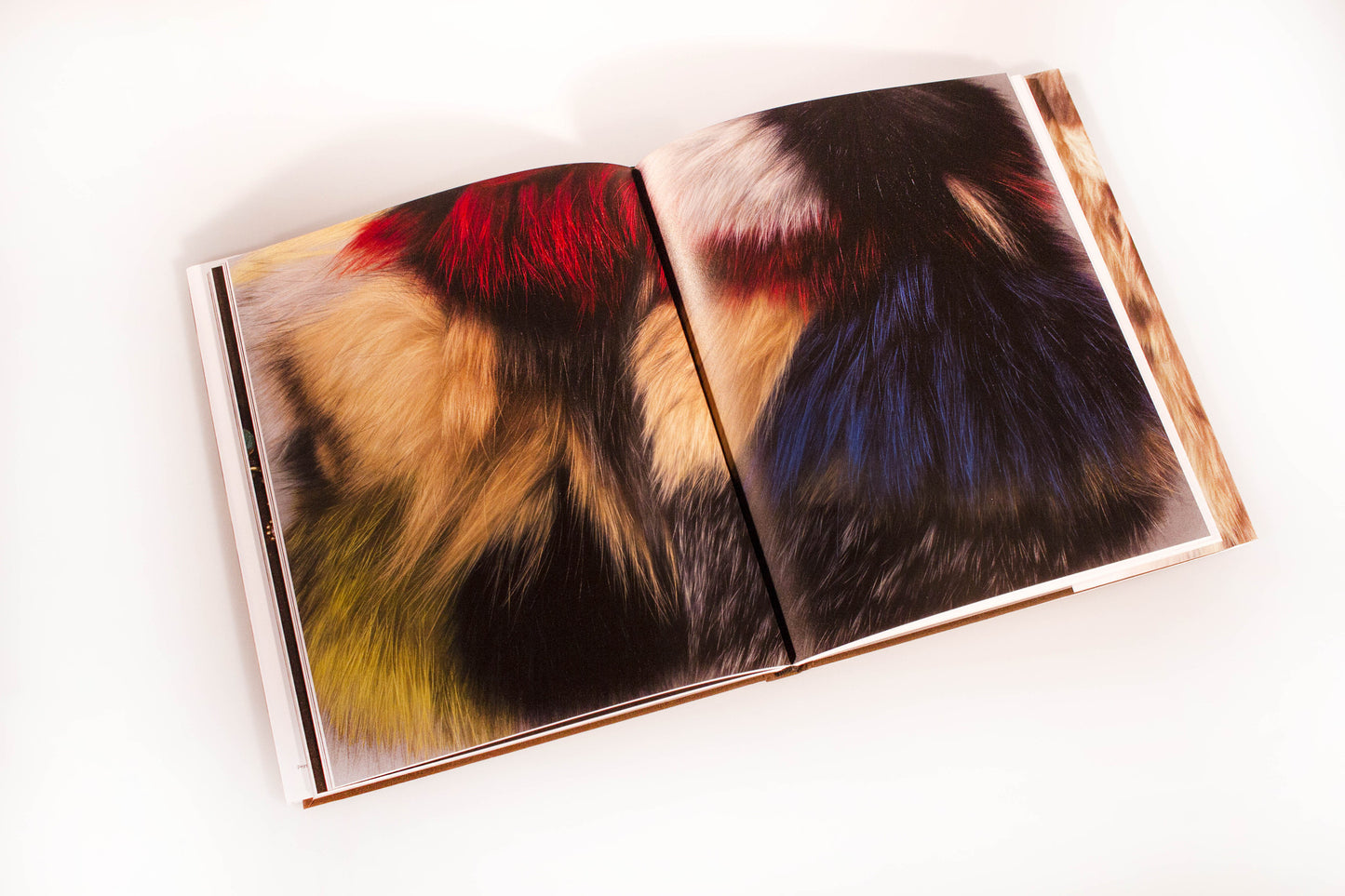 Victoria Gitman: Desiring Eye