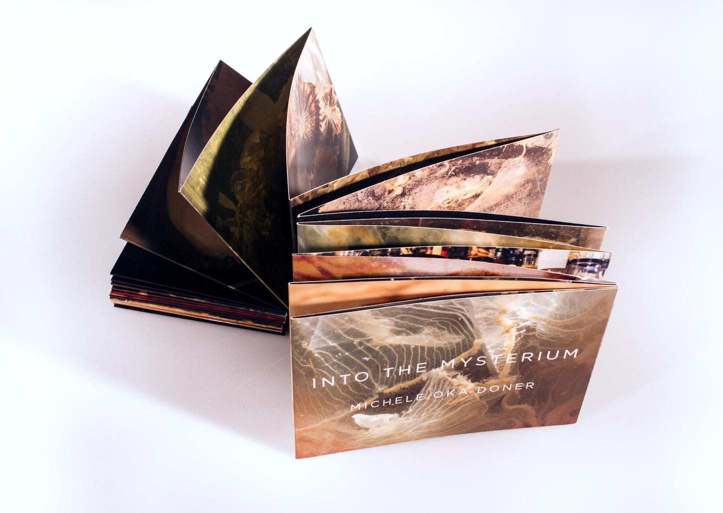 Michele Oka Doner: Into the Mysterium
