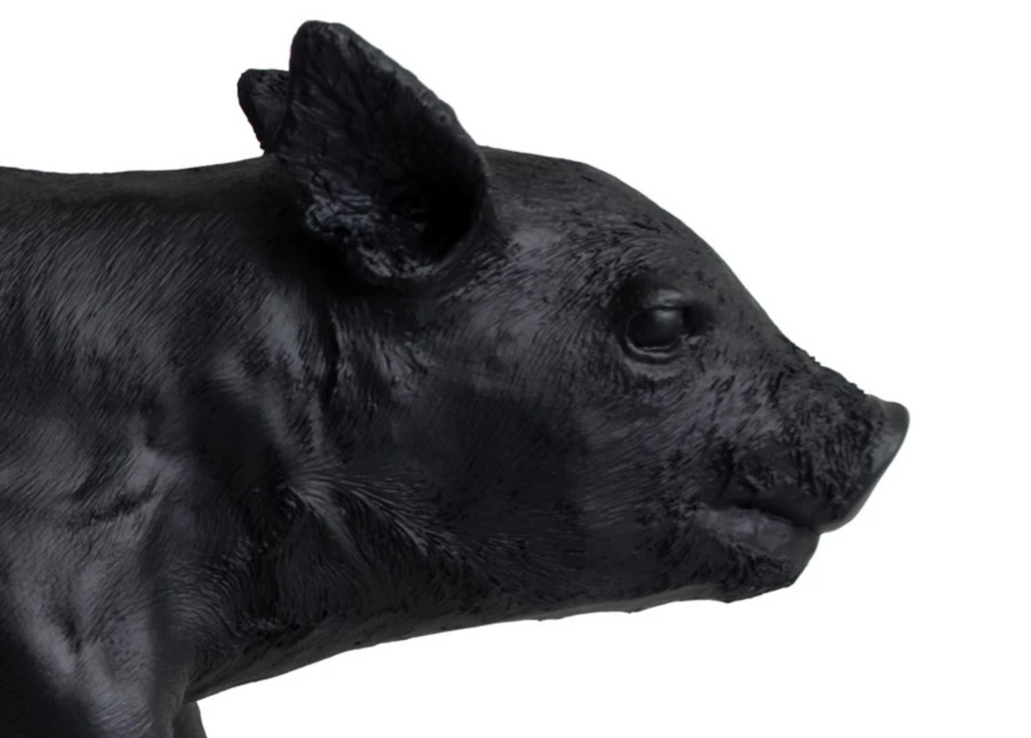 Black Chrome Bank in the Form of a Pig