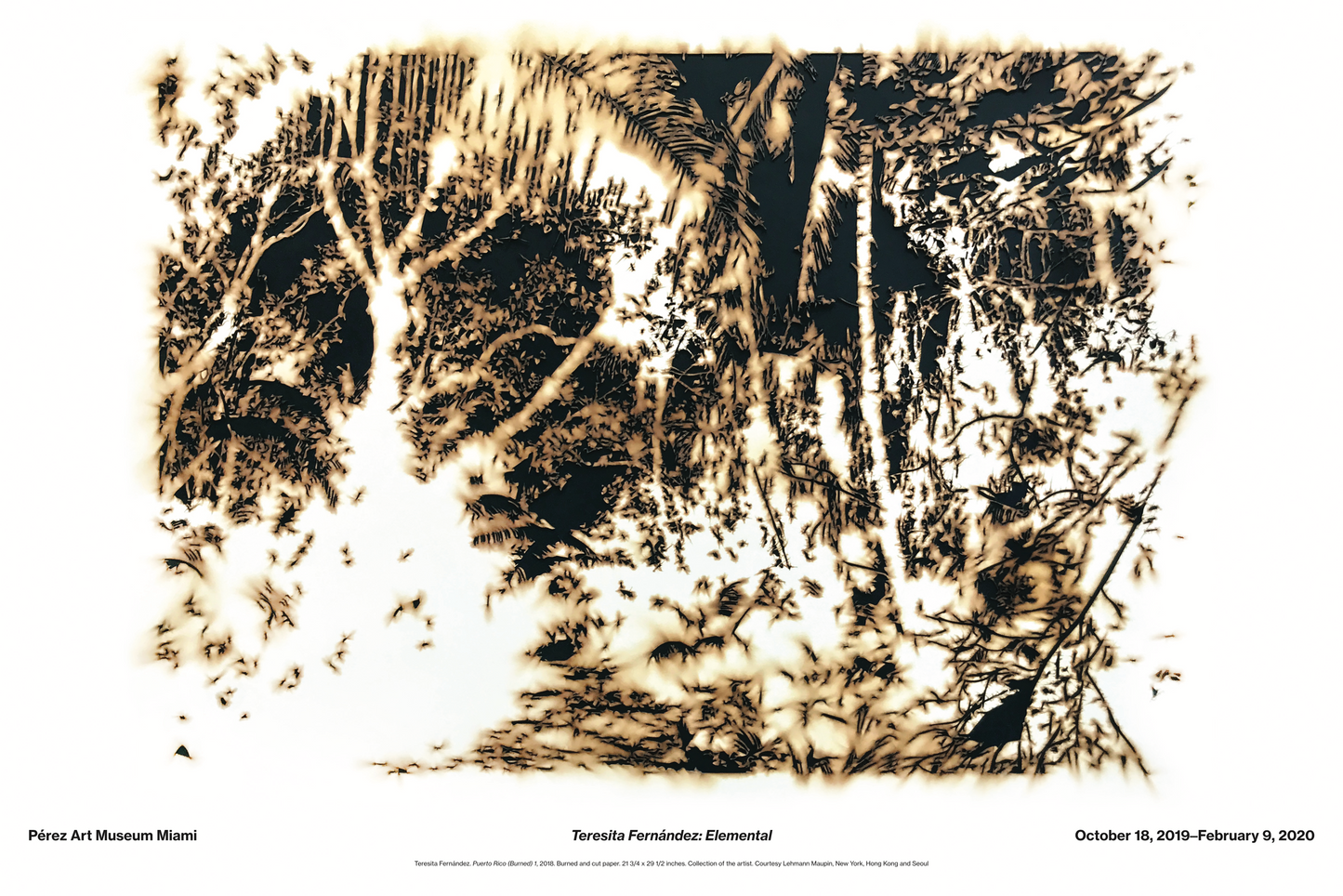 Teresita Fernández Poster