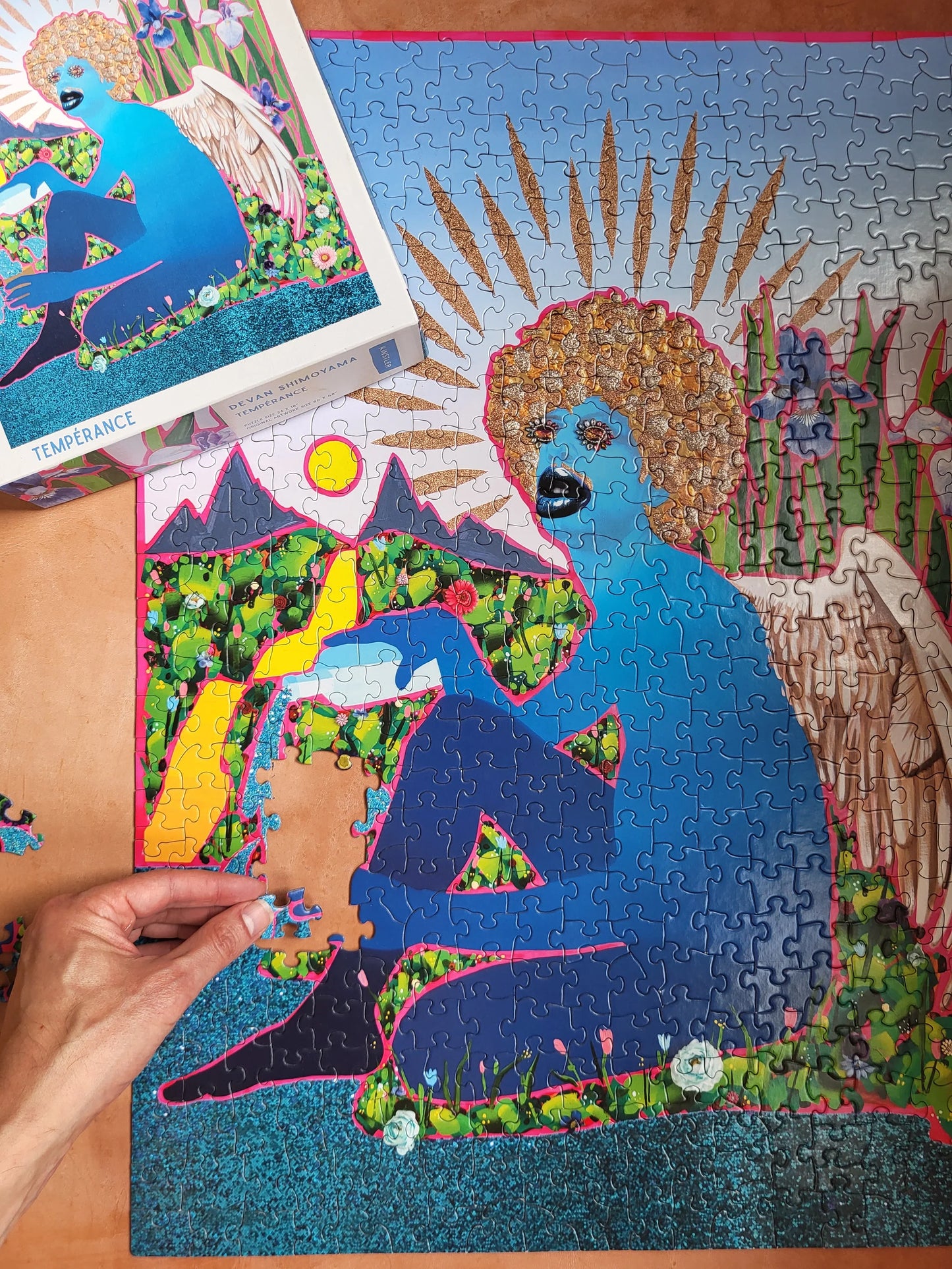 Tempérance by Devan Shimoyama