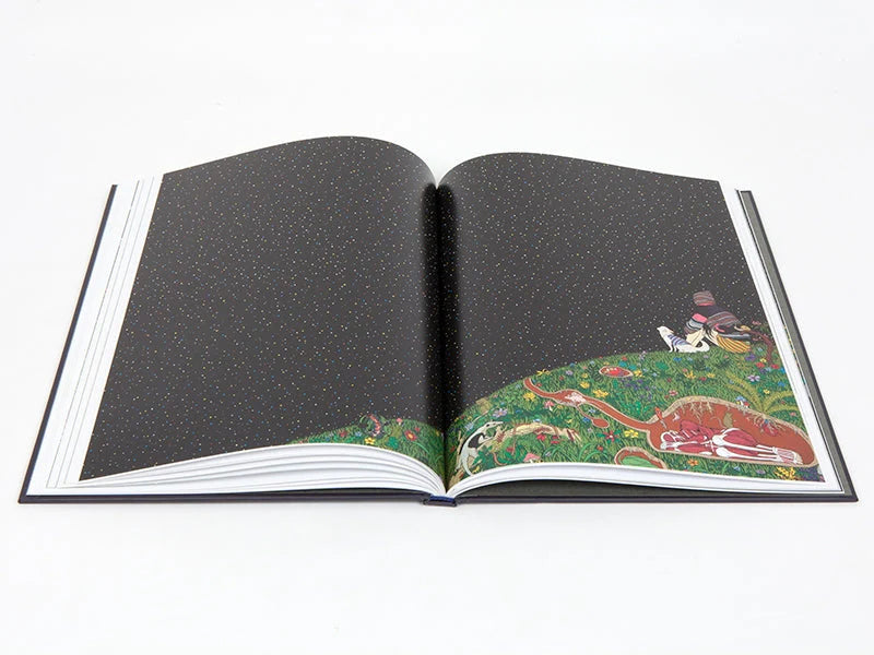 Chen Fei - Distanz Catalogue