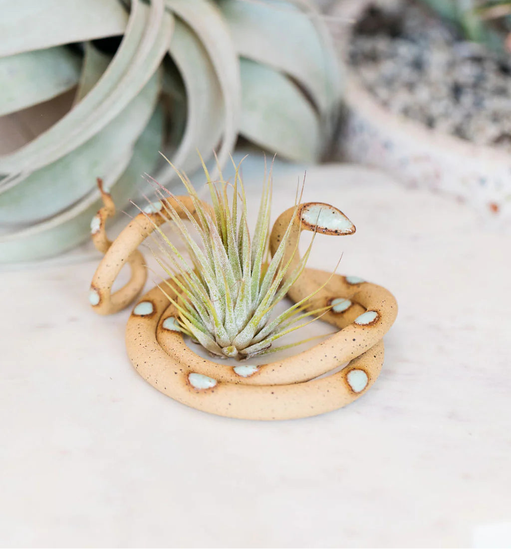 Carter + Rose Ceramic Snake - Medium Size