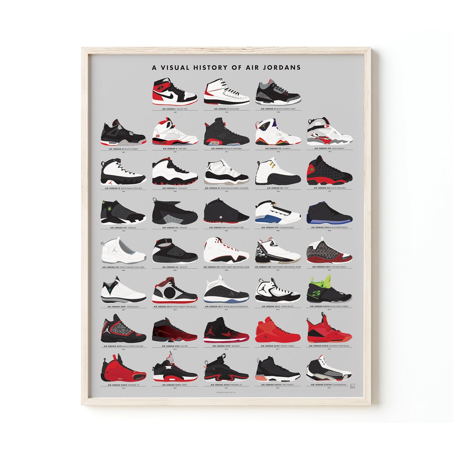 A Visual History of Air Jordans Print
