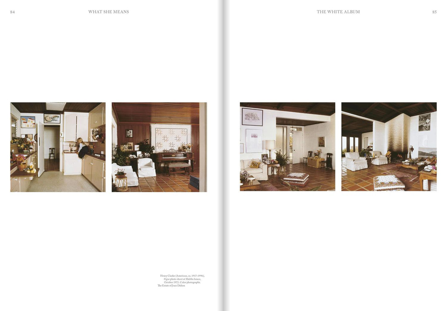 Joan Didion: What She Means