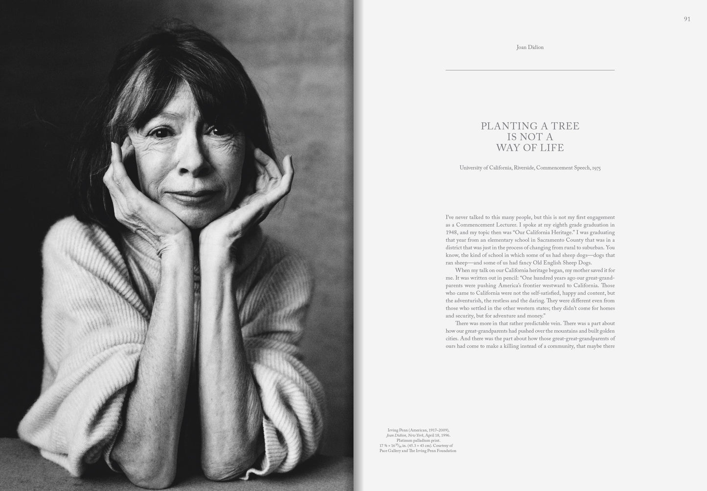 Joan Didion: What She Means