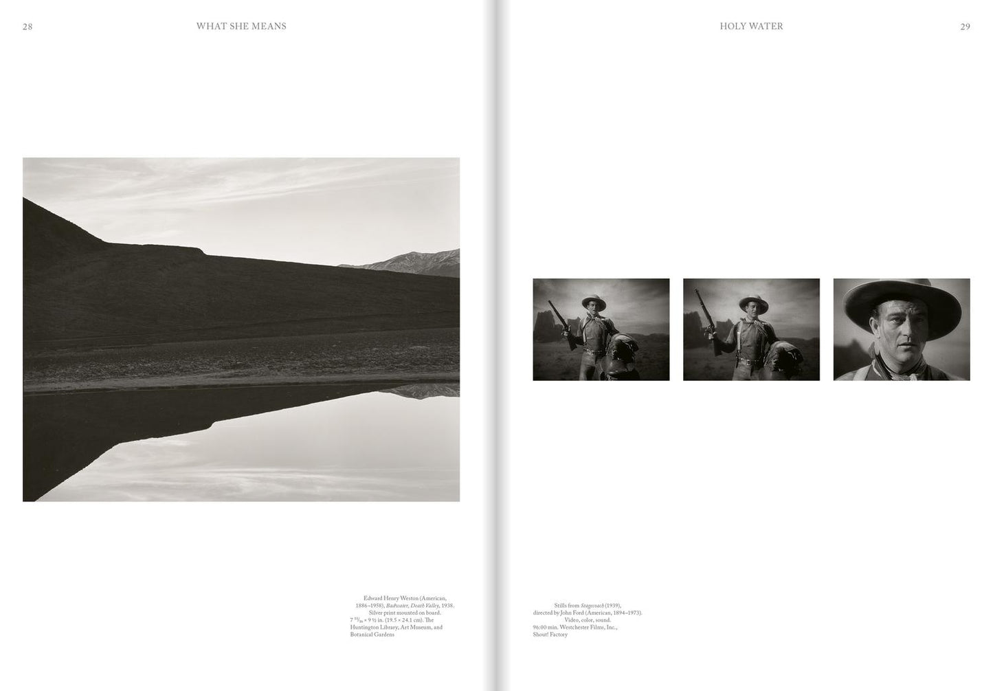 Joan Didion: What She Means