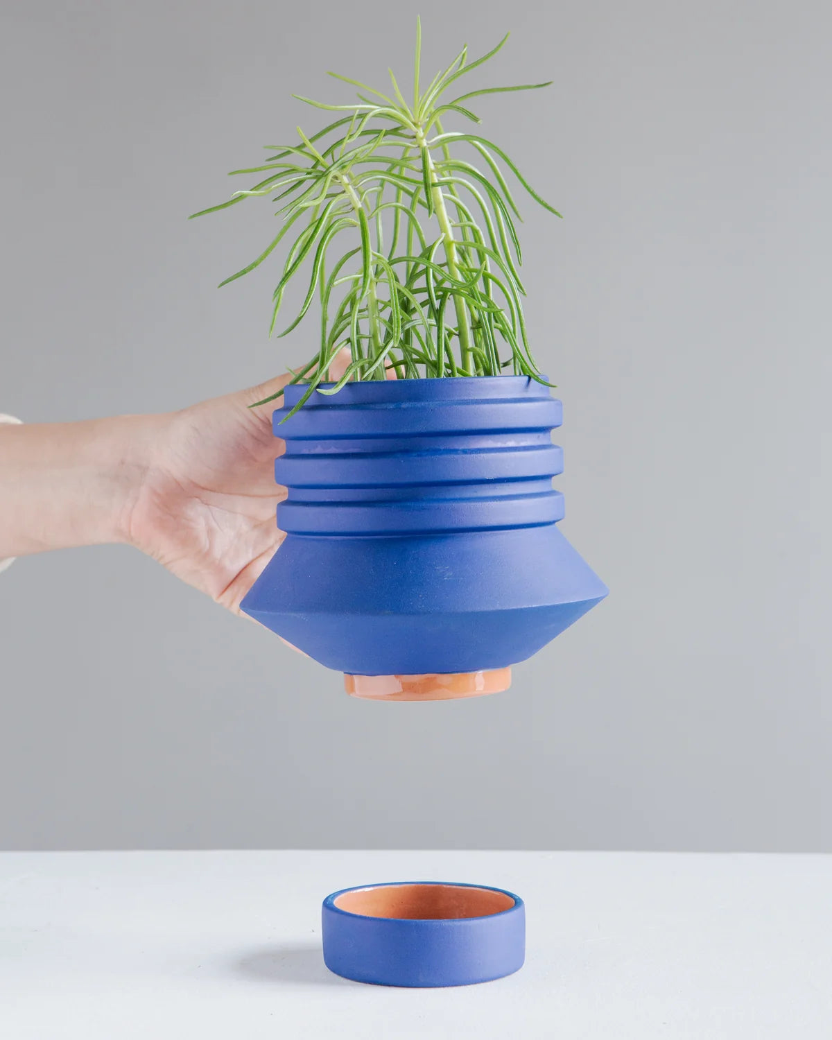 Strata Plant Vessel