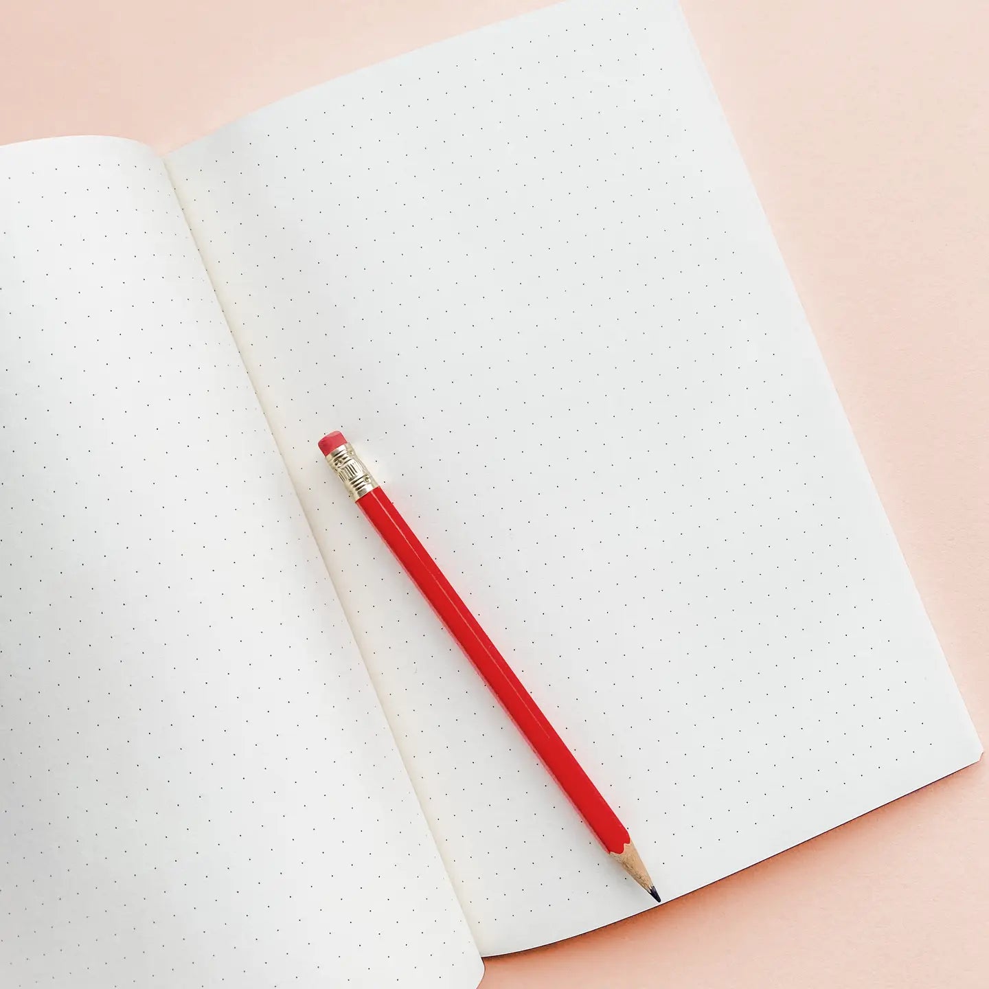 The Girls Notebook