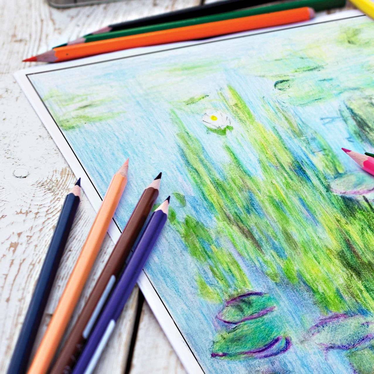 Monet Colors Colored Pencil Set of 12