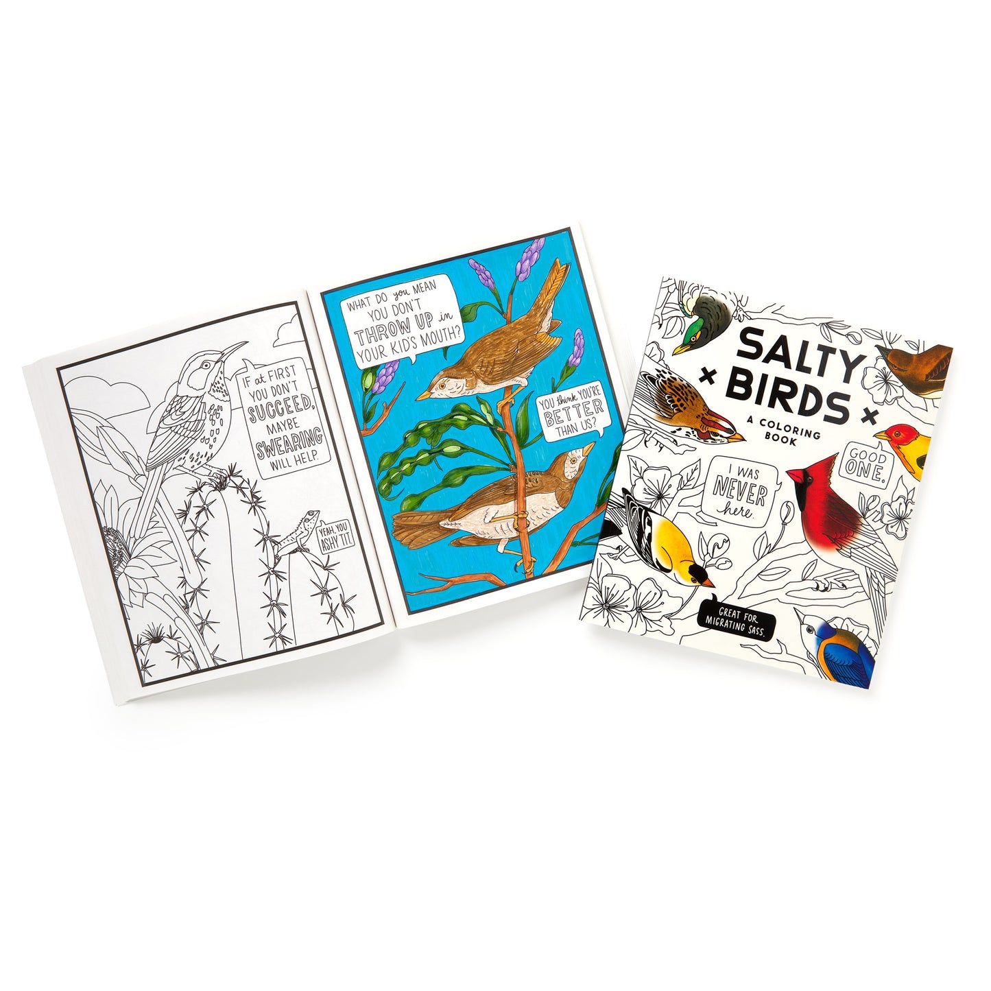 Salty Birds Coloring Book