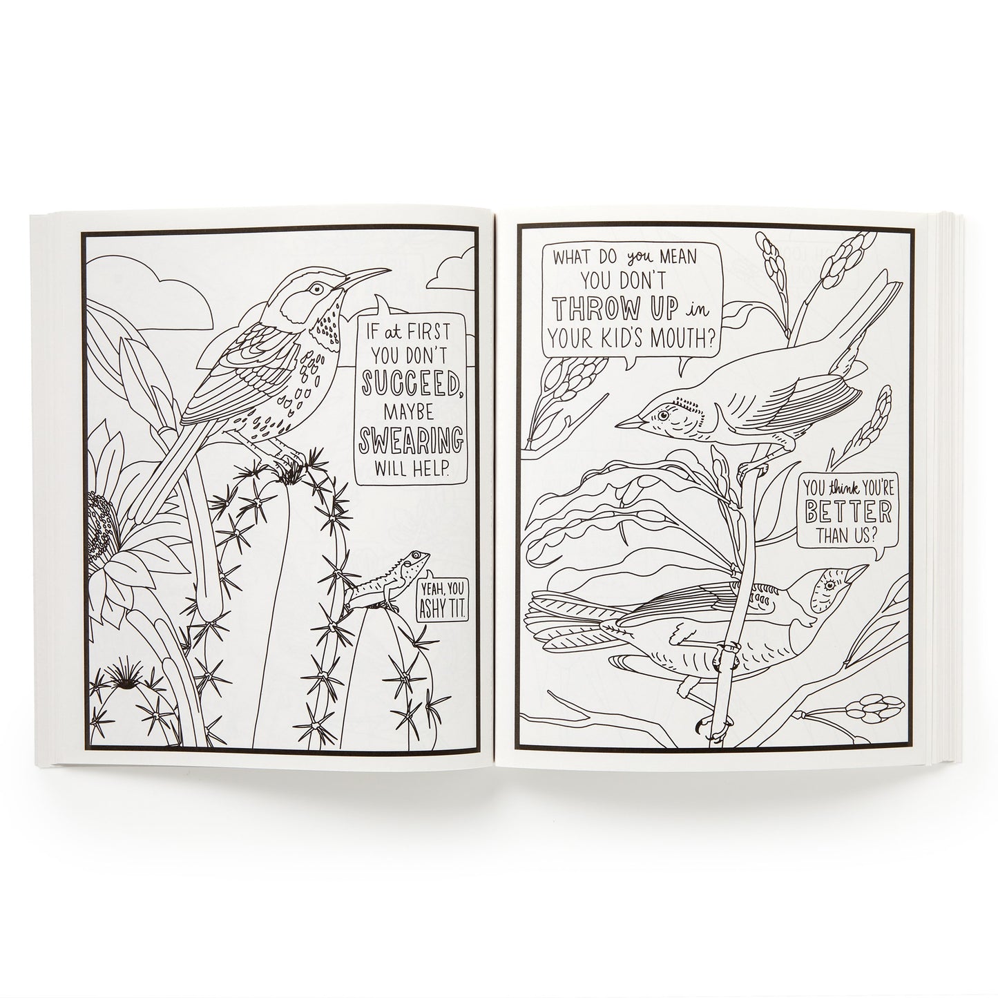 Salty Birds Coloring Book