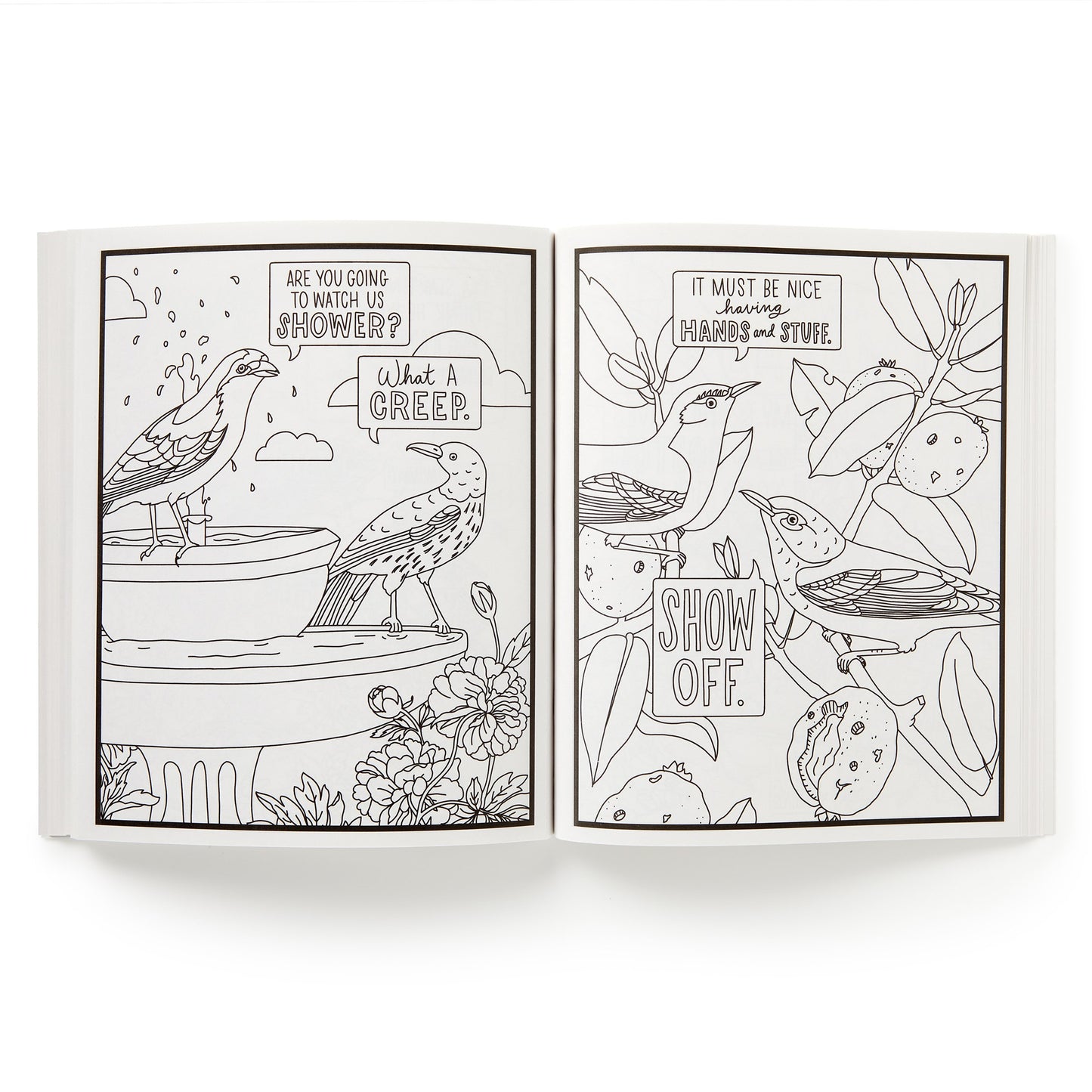 Salty Birds Coloring Book
