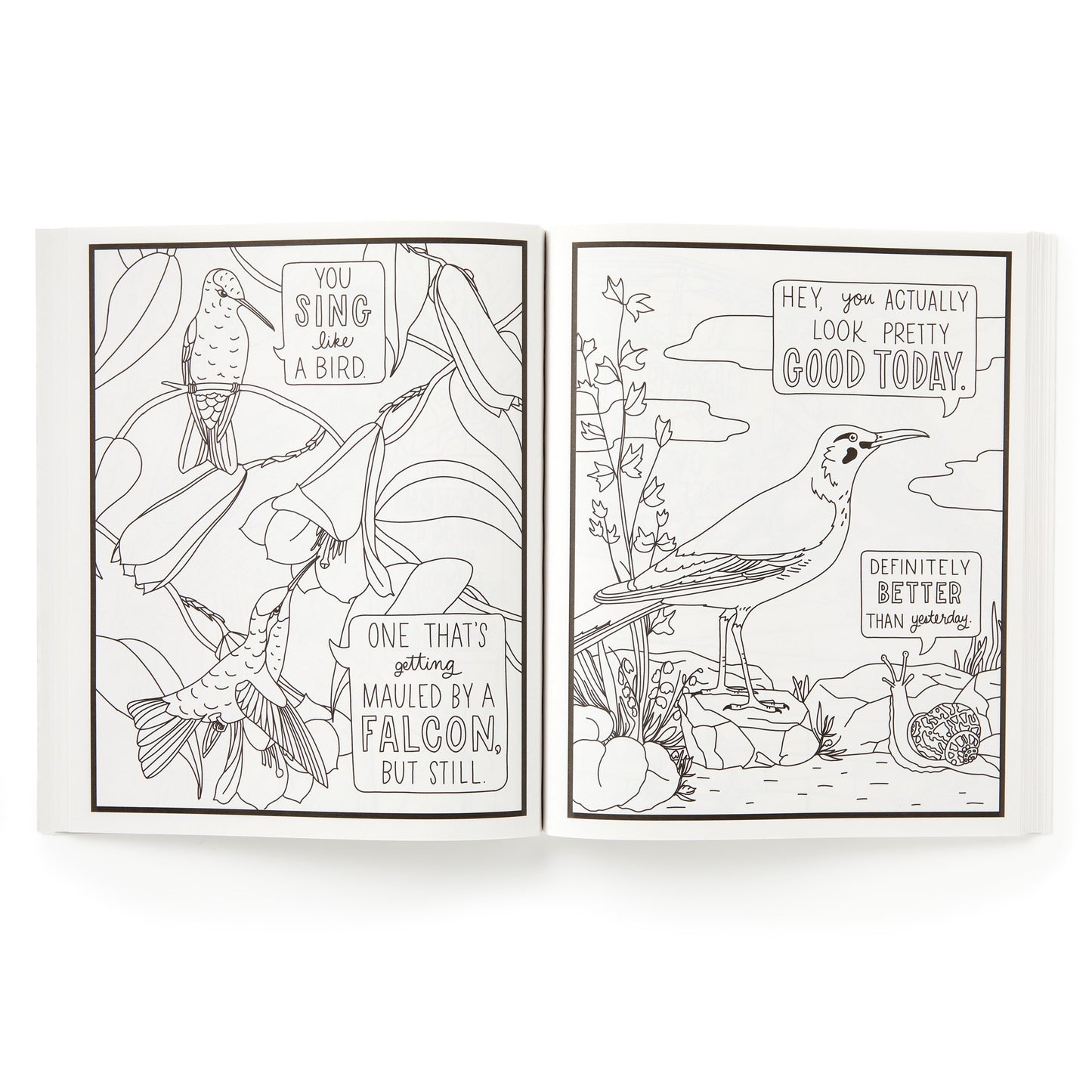 Salty Birds Coloring Book