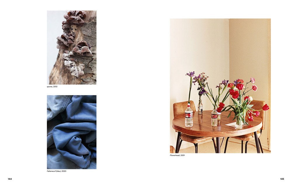 Wolfgang Tillmans - Nothing Could Have Prepared Us – Everything Could Have Prepared Us