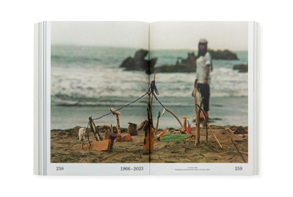 Cecilia Vicuña: Dreaming Water