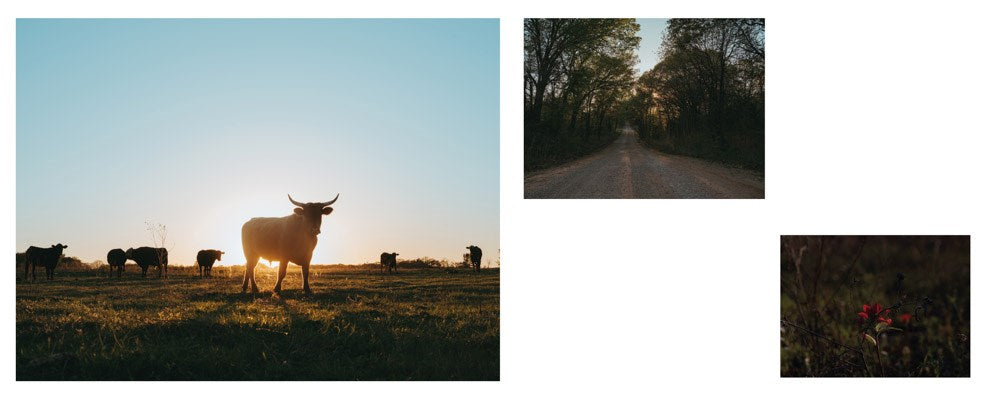 Eight Seconds: Legacy in Motion -Photographs by Ivan McClellan