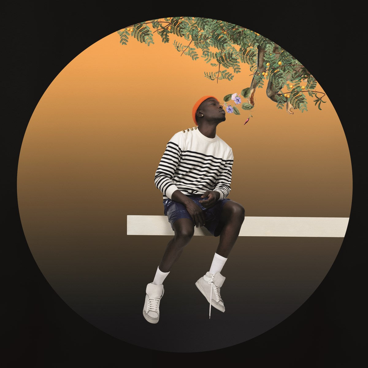 Omar Victor Diop