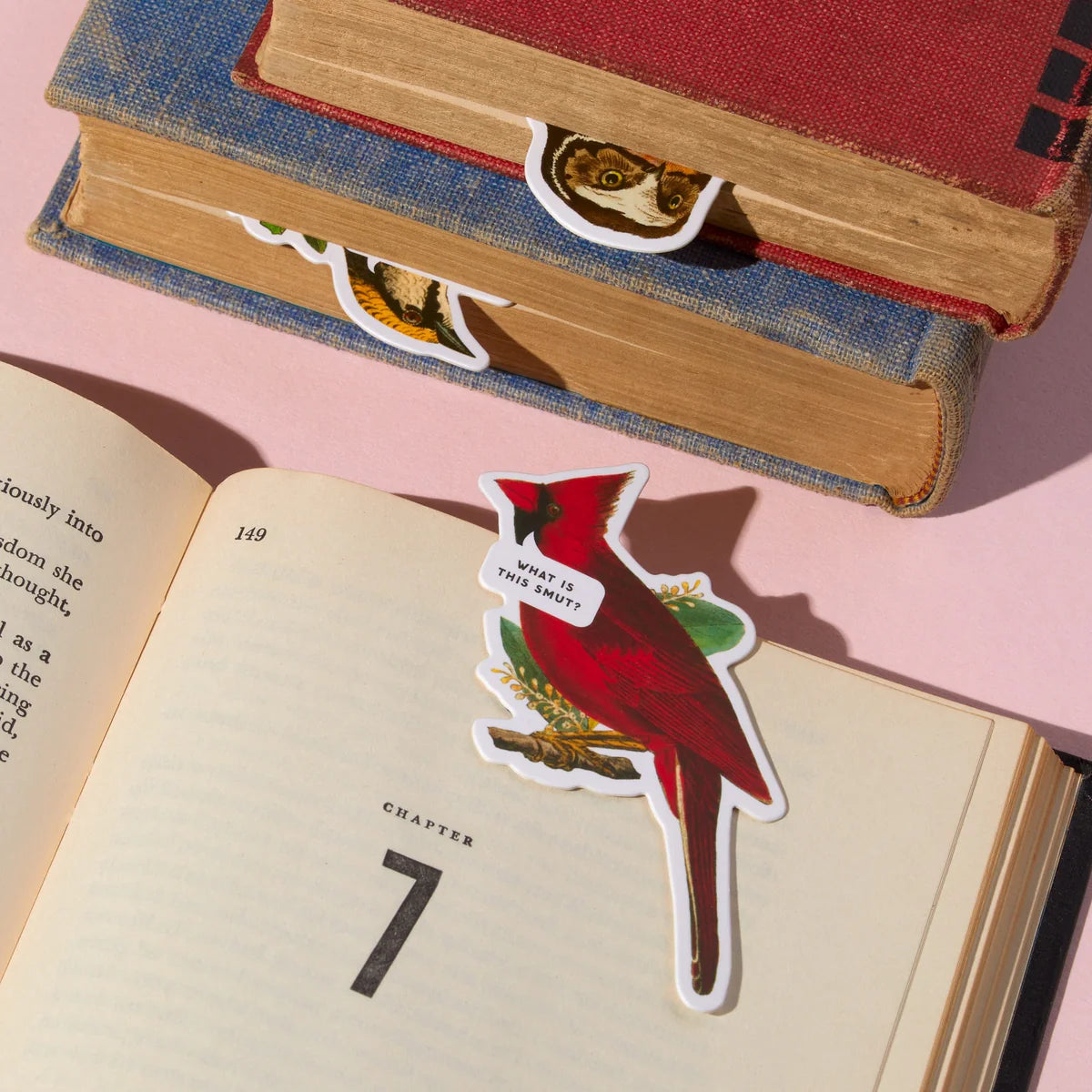 Salty Birds Magnetic Bookmark Set