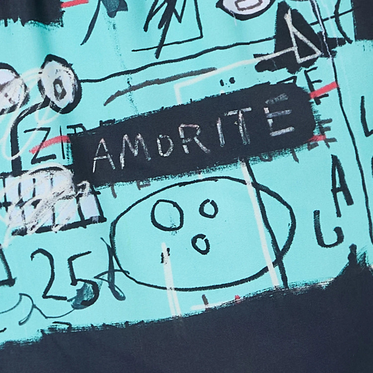 Basquiat Equals Pi Swim Shorts