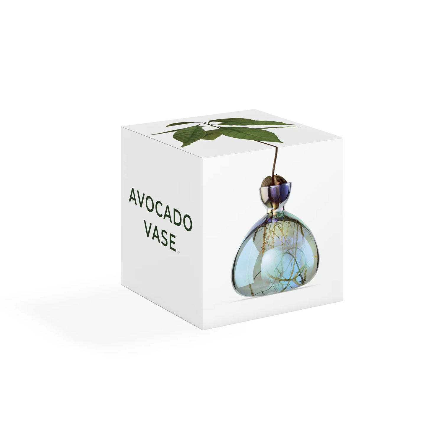 Holographic Cosmic Lyra Avocado Vase