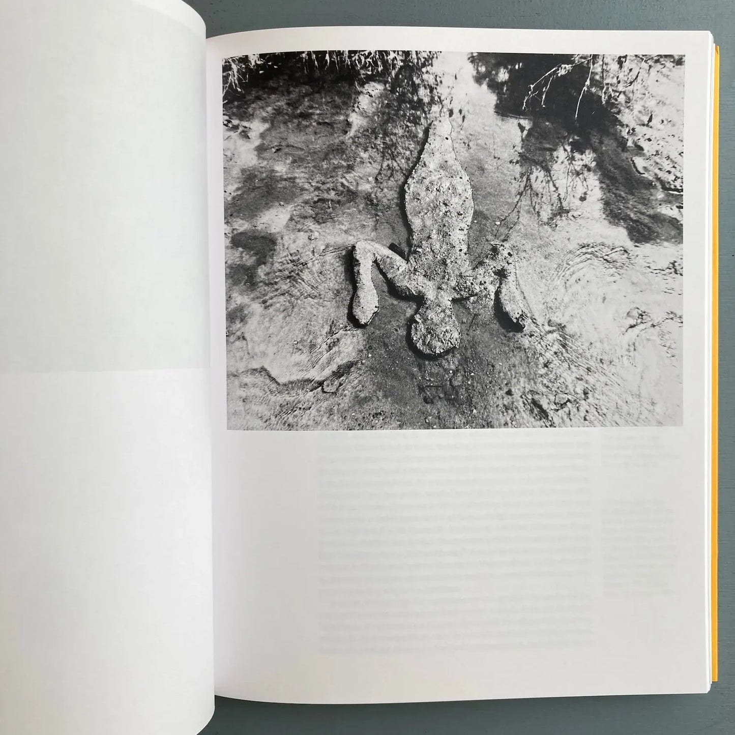 Ana Mendieta - Search for Origin (ES/EN edition)