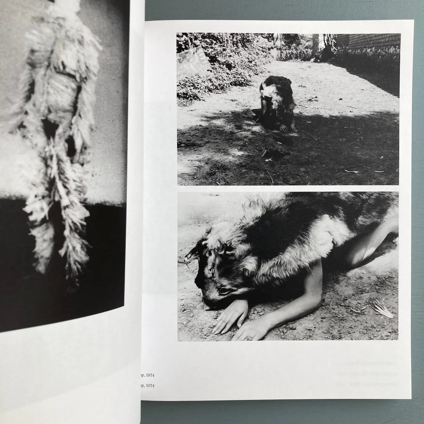 Ana Mendieta - Search for Origin (ES/EN edition)