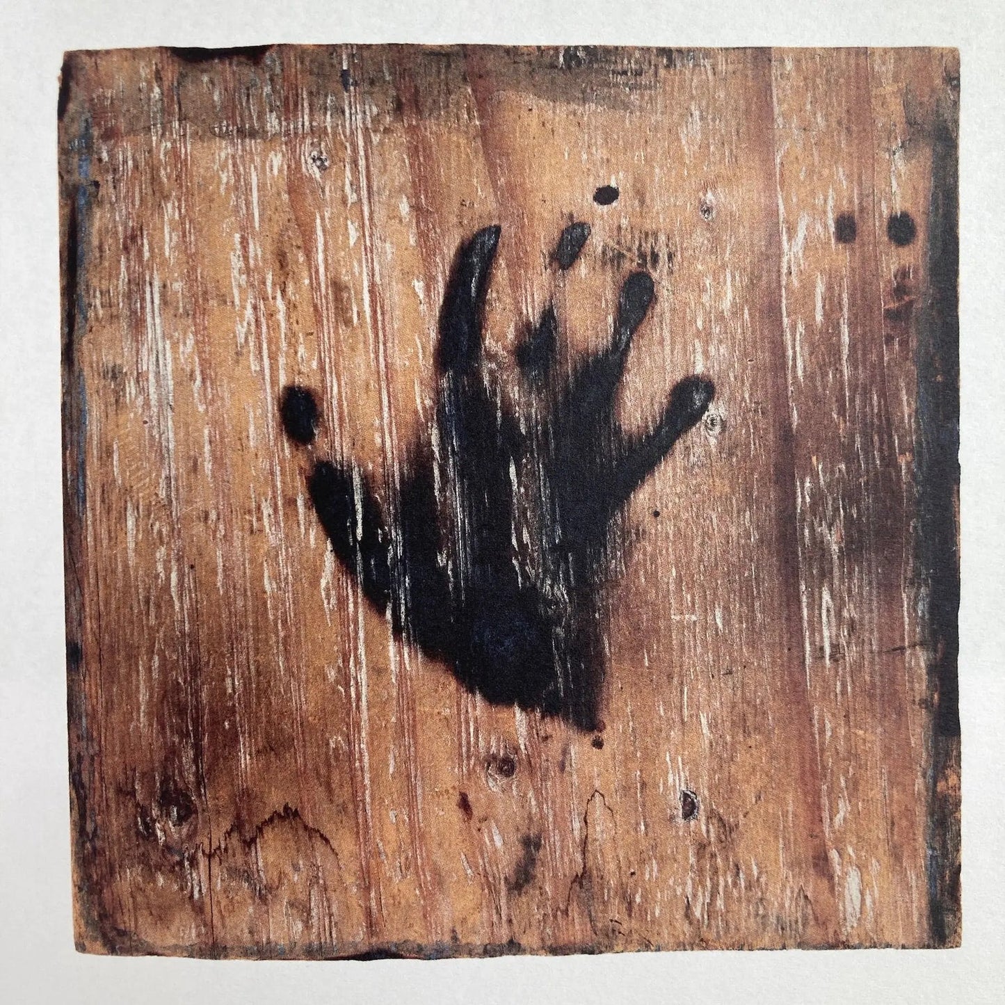 Ana Mendieta - Search for Origin (ES/EN edition)