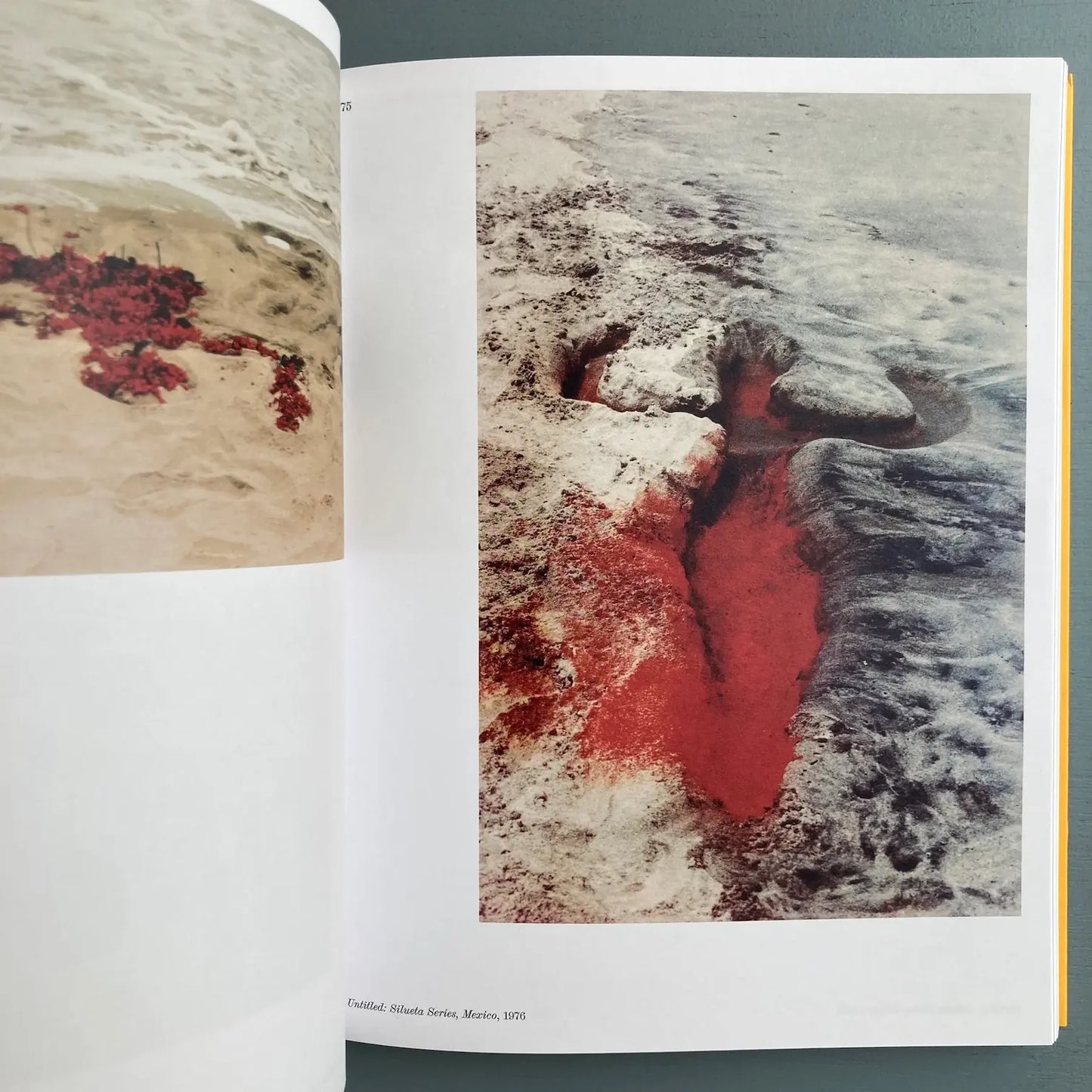Ana Mendieta - Search for Origin (ES/EN edition)