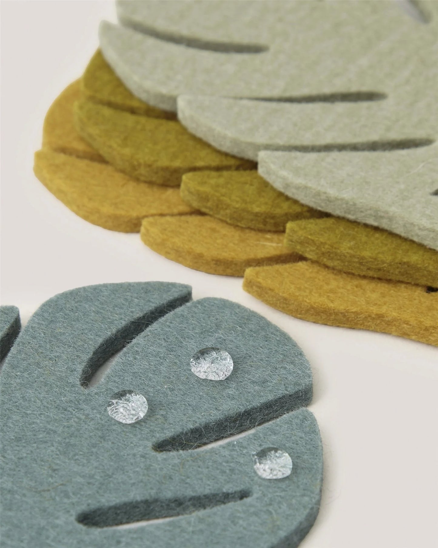 Monstera Leaf Coaster "Jungle" - Set of 4