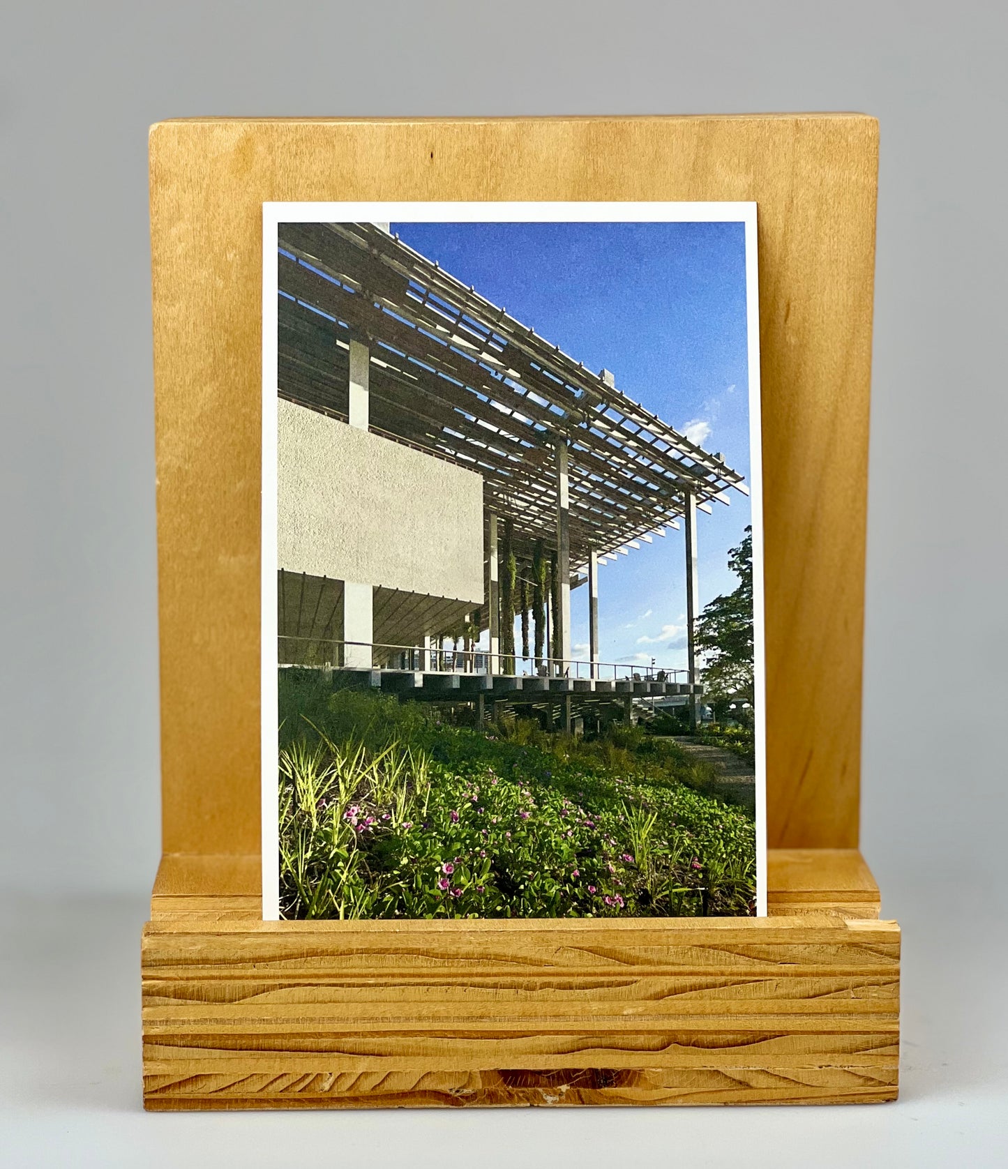 PAMM Postcard Set