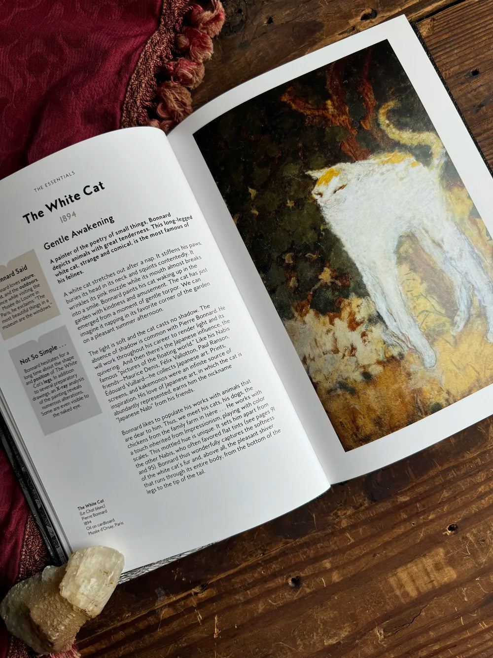 Cats in Art By Alix Paré