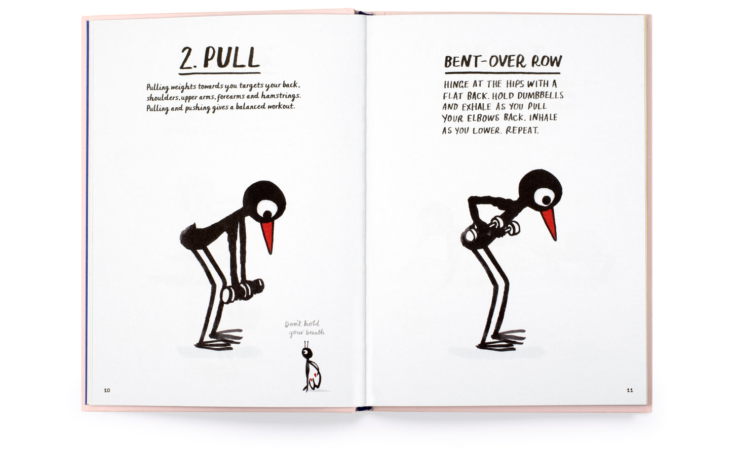 How to Be a Fit Bird