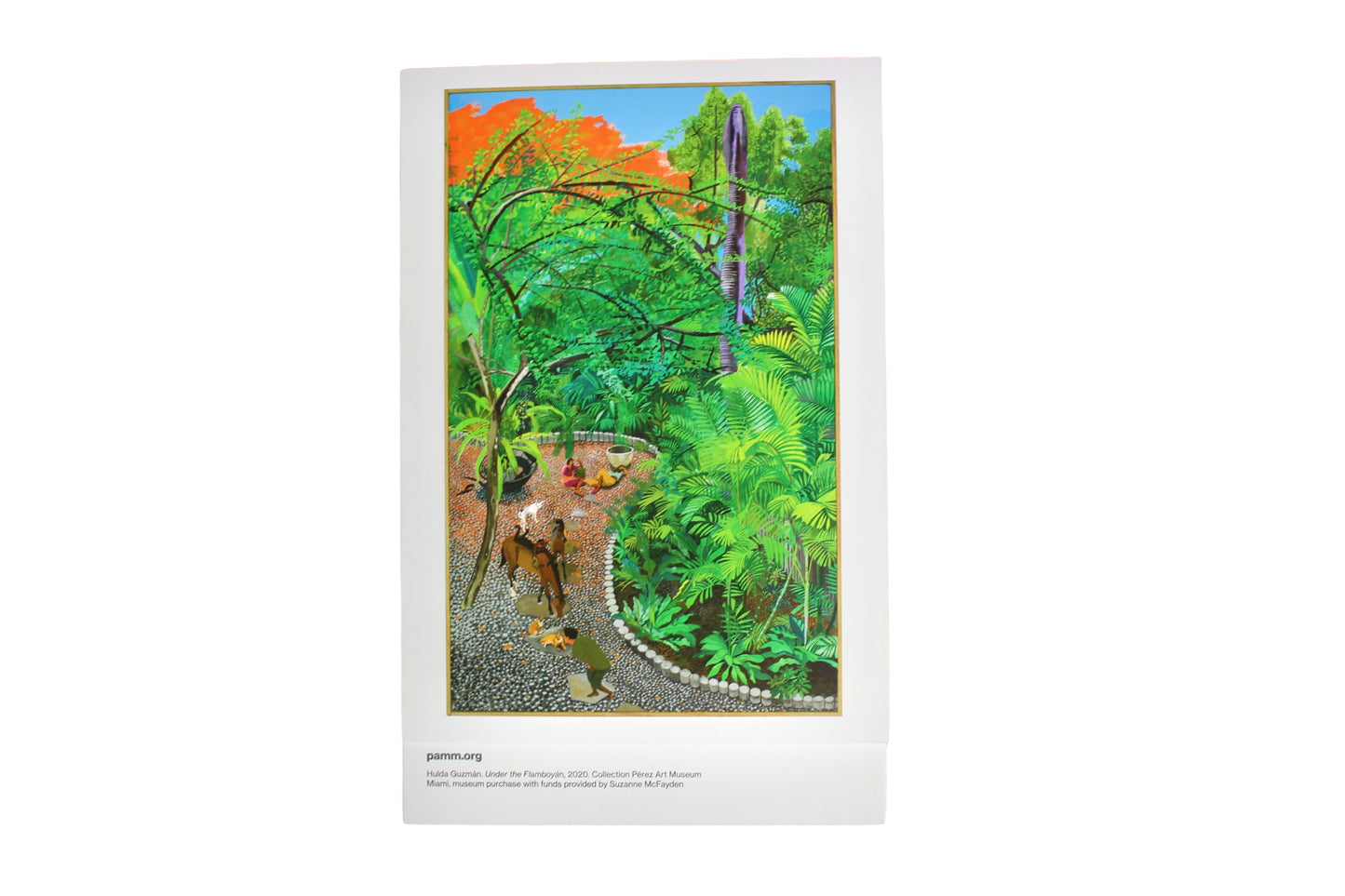 PAMM Permanent Collection Cards (Set of 12)