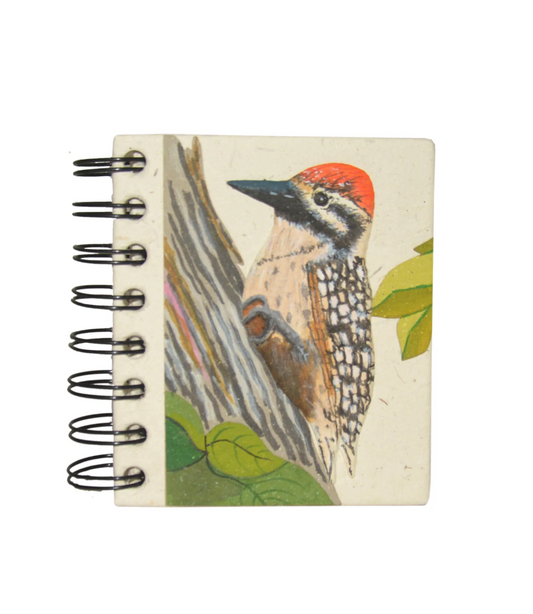 Mr.Ellie Pooh Notebook: Small Woodpecker