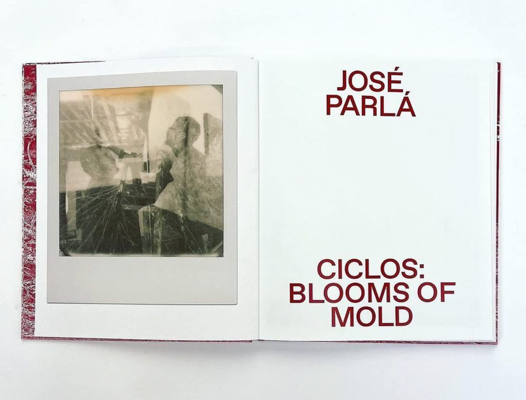 José Parlá: Ciclos Blooms of Mold