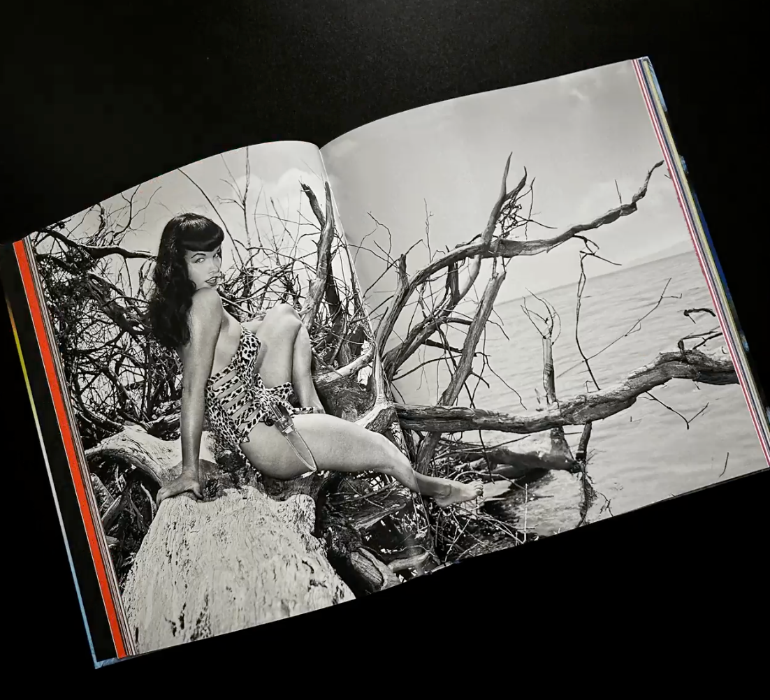 The Deep State: Art, Culture & Florida