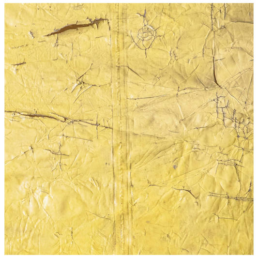 David Hammons