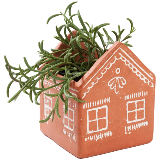 Terracotta Vasanta House Planter with Drainage