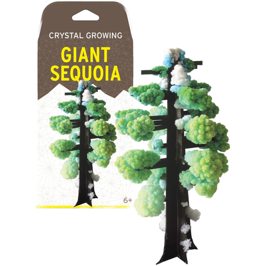 Giant Sequoia Crystal Growing