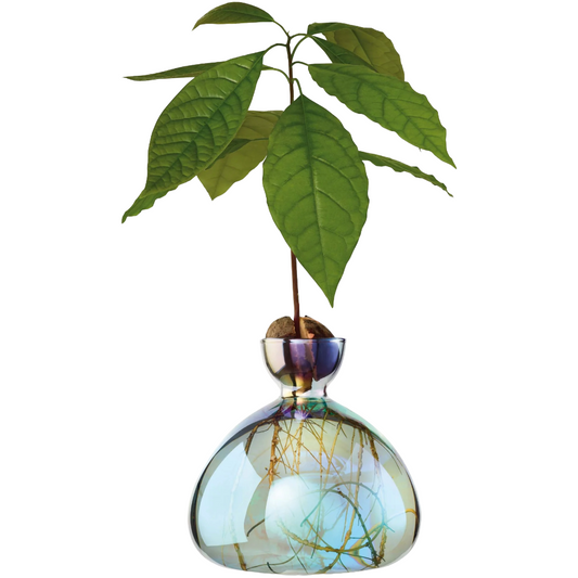 Holographic Cosmic Lyra Avocado Vase