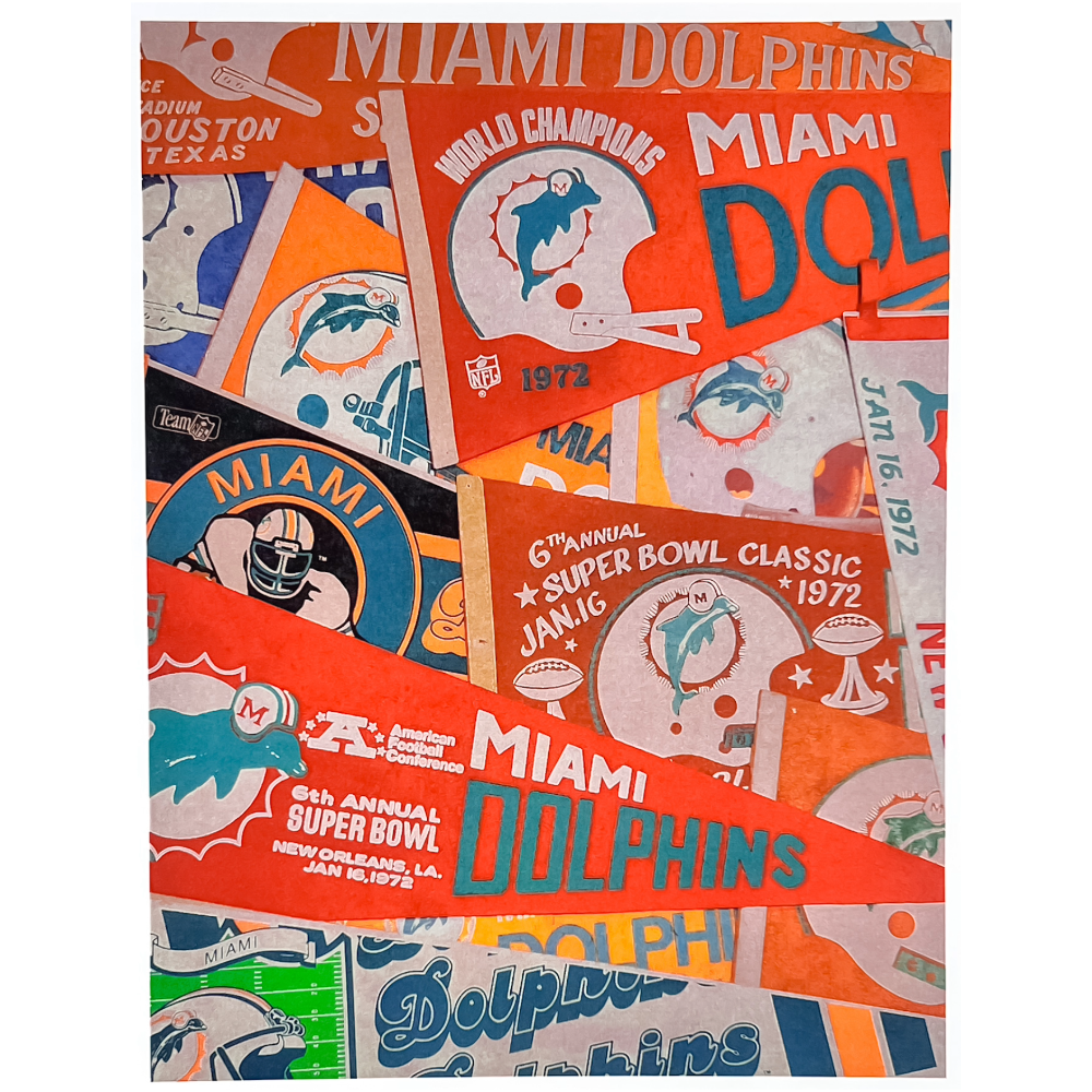 Vintage Miami Dolphin Pennant Print