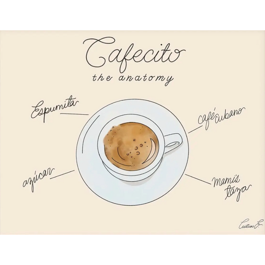 Anatomy of Cafecito Art Print